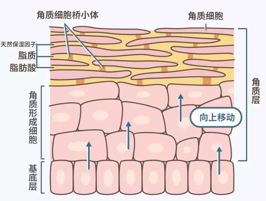  data-cke-saved-src=http___dingyue.ws.126.net_Q8XD0CU4G3vDeO=KusFULtqIMiWB24lBWG1fFpH=J5iQF1557628452209compressflag.jpg&refer=http___dingyue.ws.126.jpg src=http___dingyue.ws.126.net_Q8XD0CU4G3vDeO=KusFULtqIMiWB24lBWG1fFpH=J5iQF1557628452209compressflag.jpg&refer=http___dingyue.ws.126.jpg