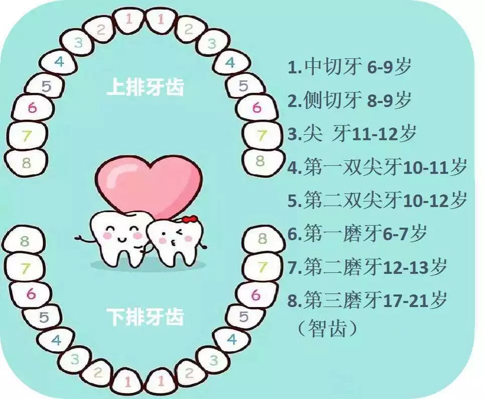 8960599-3fa07906ef43a230.png