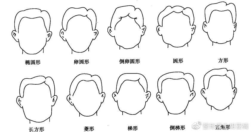 面部轮廓示意图图片