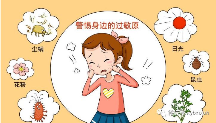 过敏性紫癜患者平常应该注意的事项和避免复发情况!