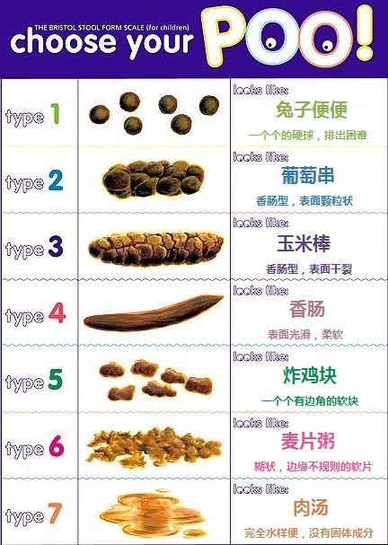 02大便性状.jpg