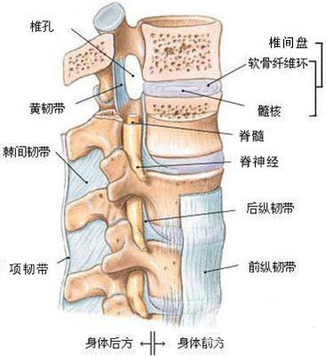 颈椎韧带钙化可能隐藏着大危险