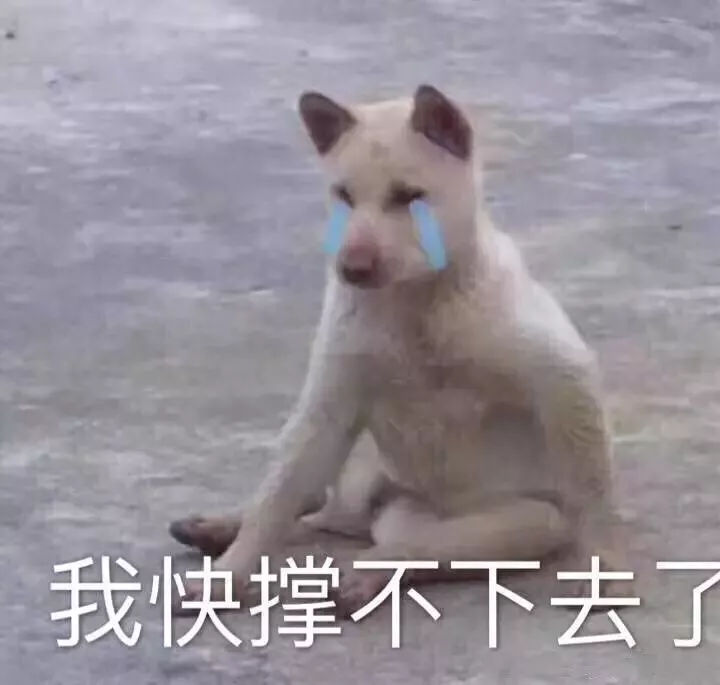 为什么看牙那么贵?