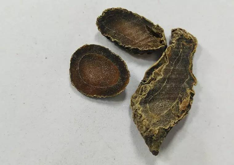 每天一味中草药:郁金,此郁金非彼郁金_张会永_副主任医师_爱问健康