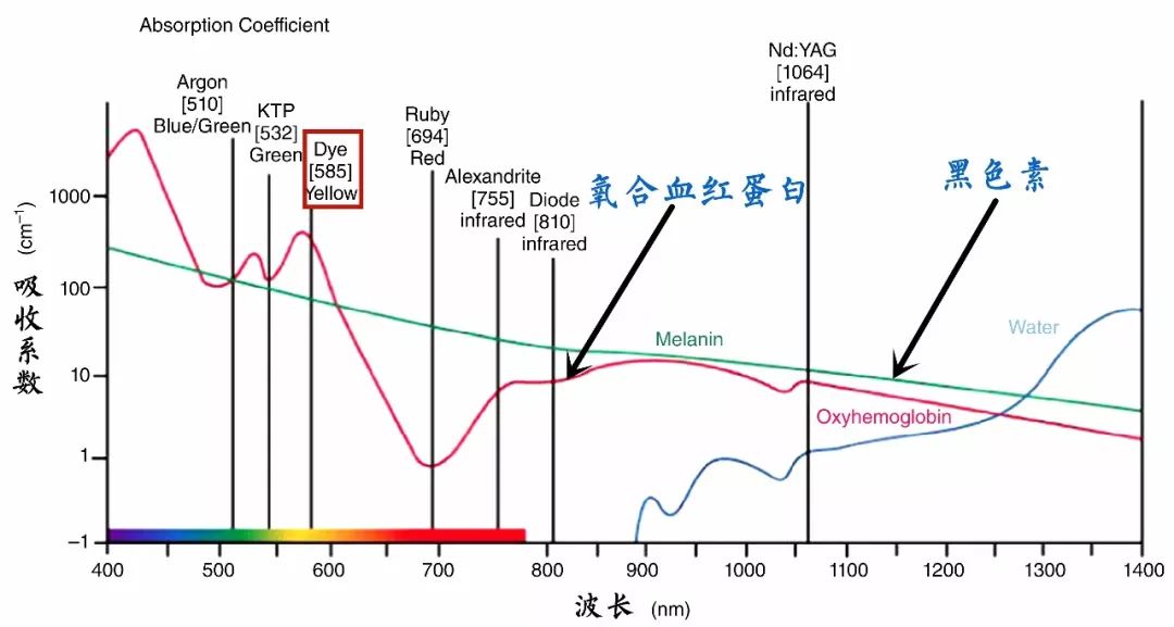 靶色基的氧合血红蛋白,在波长418nm,542nm和577nm处有特征性吸收峰