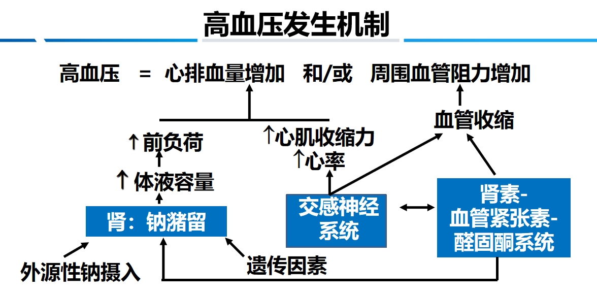 全面掌控高血压,享受高品质生活_翟为洪_主任医师_爱问健康