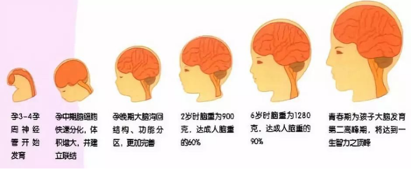 儿童发育迟缓该怎么办?