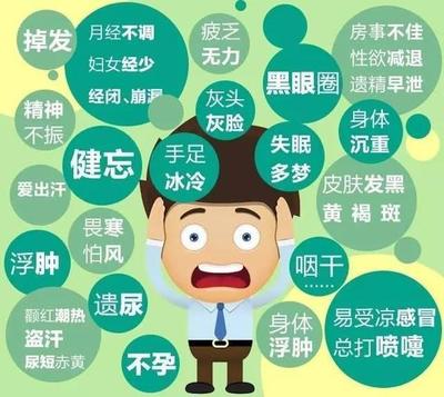 意思是说一个人阴虚久了会累及阳阳也会跟着虚;阳虚久了同样会累及阴