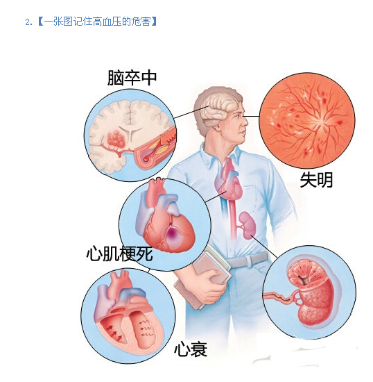 一张图记住高血压的危害.jpg