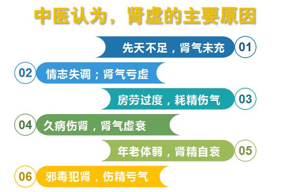 王洪霞主任讲解中医西医对“肾”的概念,你了解多少?_王洪霞_主任医师_爱问健康