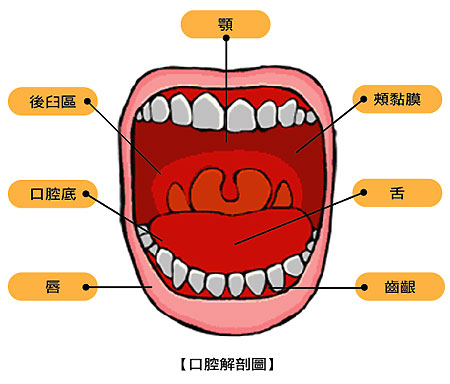 src=http___pic3.zhimg.com_v2-252e77ae7ab2727b455dbc10163f3fba_b.jpg&refer=http___pic3.zhimg.jpg