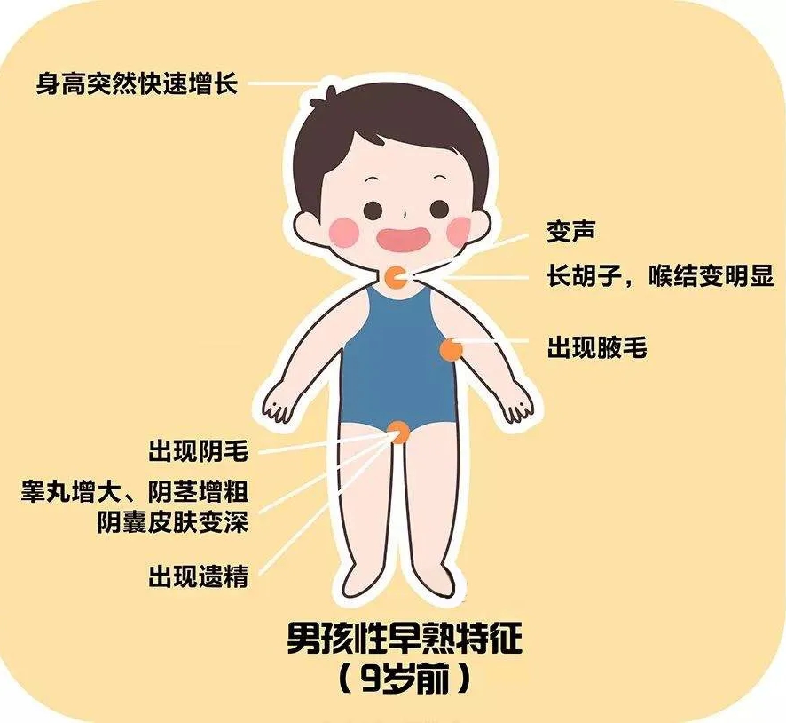 下面发育正常吗图片