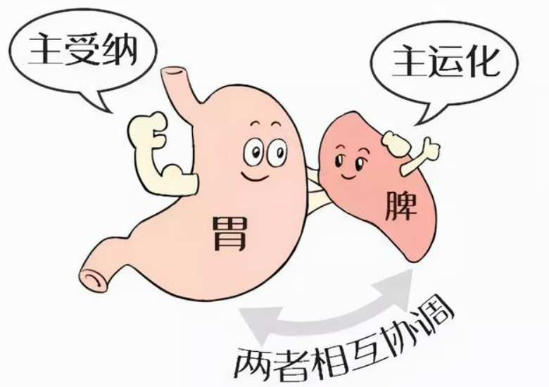 扶正培本,健脾强胃,古药方防治胃癌_许德璞_主治医师_爱问健康