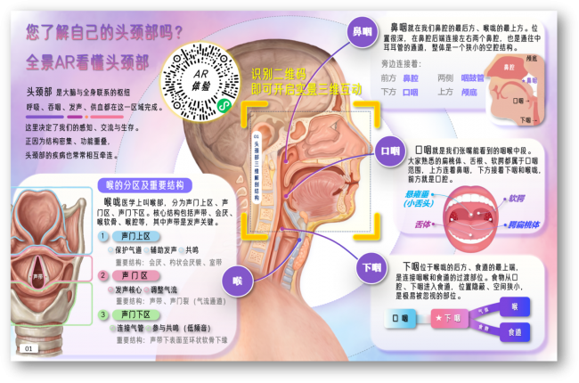 AR互动了解5类头颈部恶性肿瘤的早防要点
