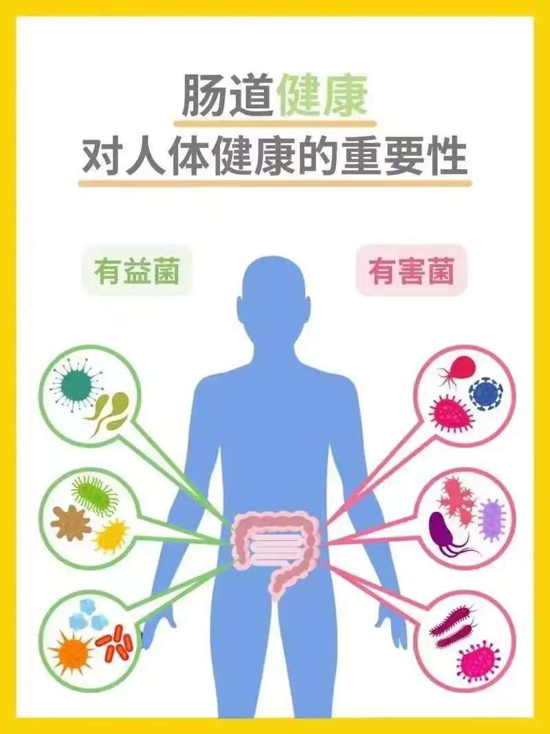 生命的永动引擎：深入解读人体代谢的精密宇宙_穆立新_副主任医师_爱问健康